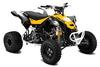 Can-Am DS 450 X MX 2012